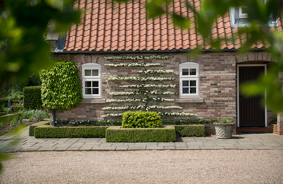 country home with uPVC windows fitted with double glazing Seaford