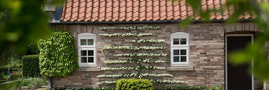 Double Glazing Shoreham-by-Sea